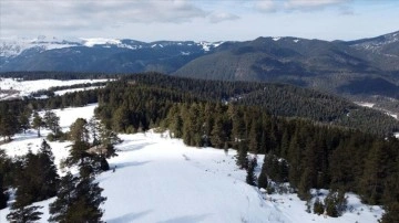 Sıcak havalar Ilgaz Dağı'ndaki turizmcileri ve kayakseverleri endişelendiriyor