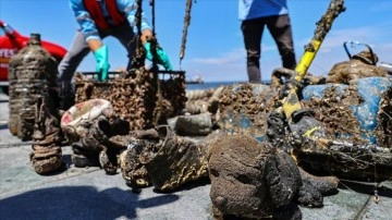 'Sıfır Atık Mavi Hareketi' ile kıyılardan 180 bin ton atık toplandı