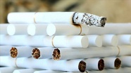 'Sigara her yıl 7 milyondan fazla kişinin ölüm nedeni'