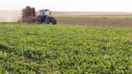 'Sigortalanabilir tarım alanlarının sadece yüzde 19'u sigortalı'