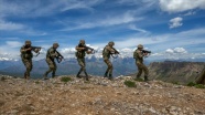 Siirt kırsalında terör örgütü PKK&#039;ya ağır darbe
