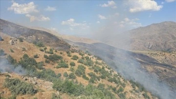 Siirt'te meşelik alanda çıkan yangın kontrol altına alındı