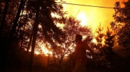 Şili'deki orman yangınları kontrol altına alınamadı: 6 ölü