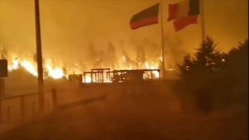 Şili'de orman yangınlarında ölenlerin sayısı 22'ye yükseldi