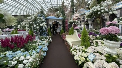 Singapur'da T&uuml;rk B&uuml;y&uuml;kel&ccedil;iliğinin işbirliğiyle İstanbul temalı "Blue Beauties" sergis