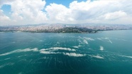 'Sınır ötesi durum da Marmara ekosistemini etkiliyor'