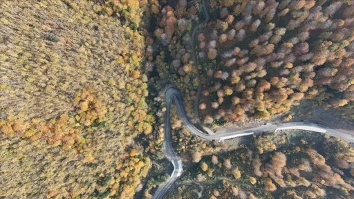 Sinop'ta sonbahar renkleri görsel şölen sunuyor