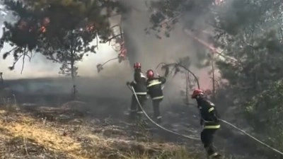 Sırbistan'da 45 orman yangınına m&uuml;dahale s&uuml;r&uuml;yor