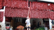 Sırbistan'ın 'biberci köyü' kırmızıya büründü