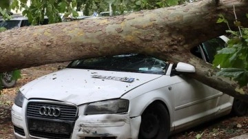 Sırbistan'da şiddetli yağış ve fırtına nedeniyle 3 kişi hayatını kaybetti