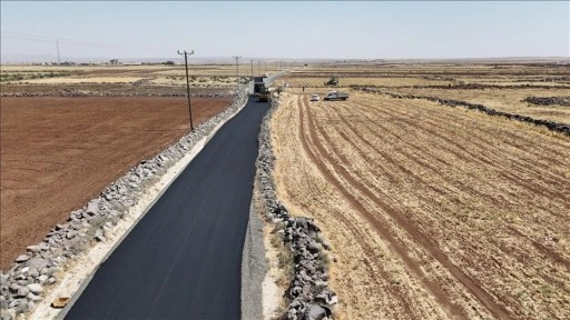 Şırnak'ta atıl araziler tarıma kazandırılıyor, toplanan taşlarla köy yolları asfaltlanıyor