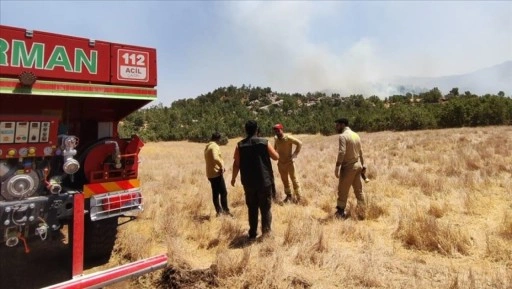 Şırnak'ta orman ve örtü yangınına müdahale ediliyor
