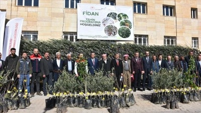 Şırnak'ta y&uuml;zde 75 hibeyle &ccedil;ift&ccedil;ilere 25 bin 200 meyve fidanı dağıtıldı