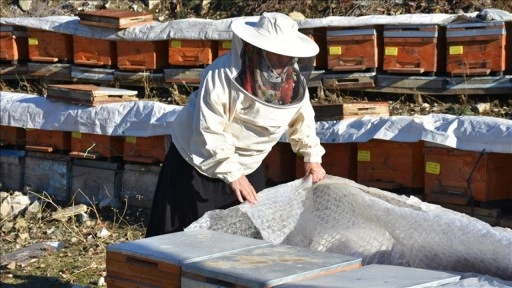 Şırnaklı kadın arıcılık sayesinde 5 &ccedil;ocuğunu &uuml;niversitede okuttu