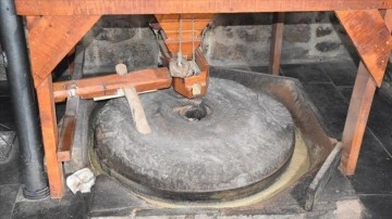 Şırnak'ta 154 yıllık değirmende günde 400 kilogram tescilli "Dergul" tahini üretiliyo