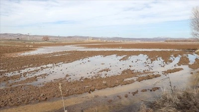 Sivas'ta yaklaşık 10 bin d&ouml;n&uuml;m ekili tarım arazisi su altında kaldı