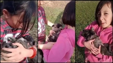 Sivas'ta minik ikizler, inek otlatırken buldukları köpek yavrusunu sahiplendi