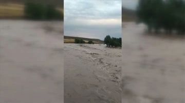 Sivas'ta sağanak hayatı olumsuz etkiledi