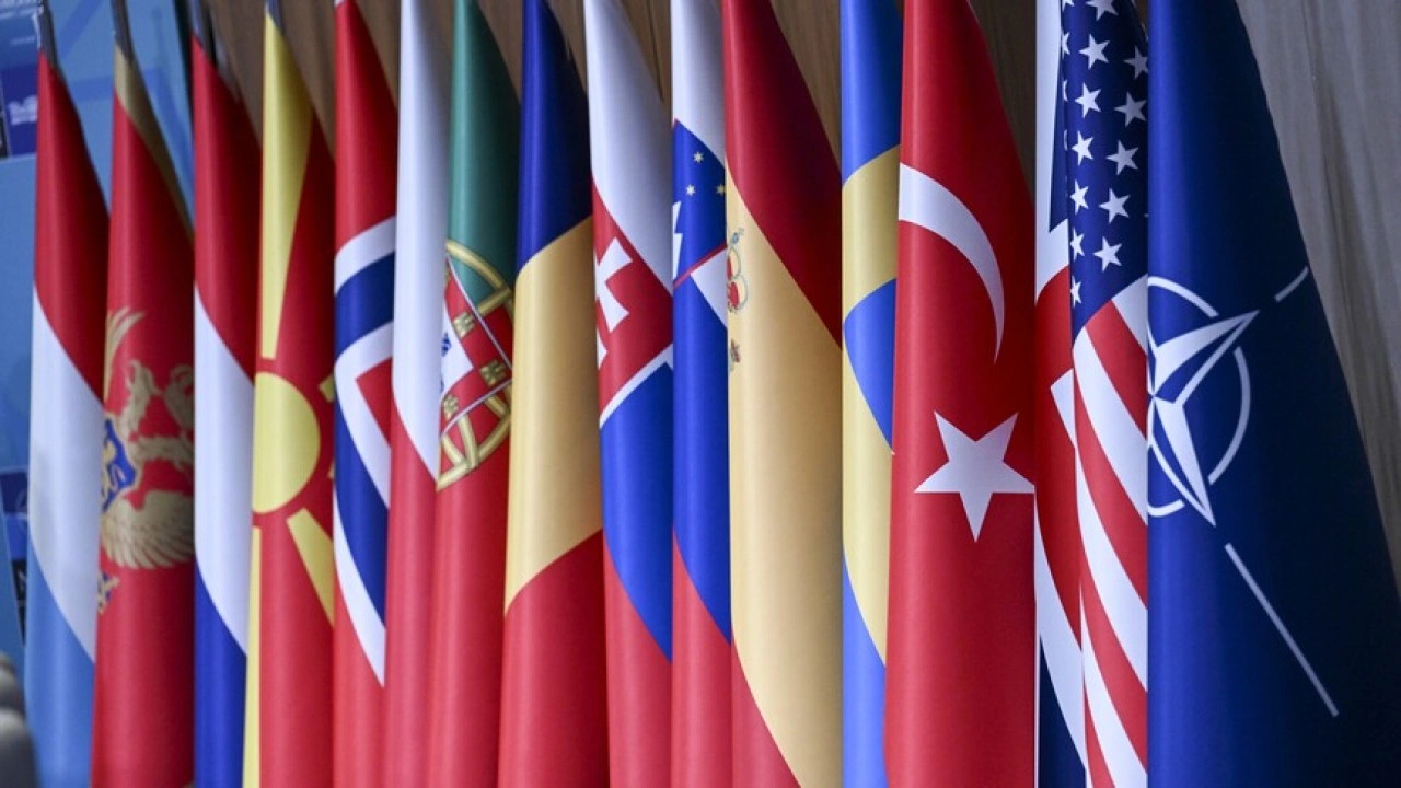 Siyaset bilimci Sezgin: NATO&rsquo;nun T&uuml;rkiye&rsquo;ye artan ilgisi Ankara&rsquo;nın &ccedil;ıkarlarına hizmet ettiği anlamına gelmiyor