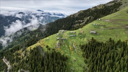 Sodalı suları ve yaylalarıyla ünlü Dereli, doğa tutkunlarını ağırlıyor