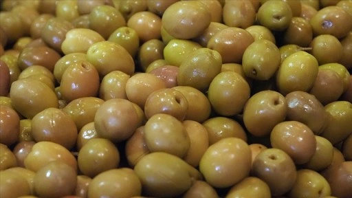 Sofralık zeytin ihracatında rekor kırıldı
