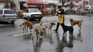 Sokak kedi ve köpekleri onun yolunu gözlüyor