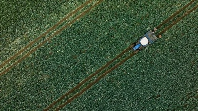 Son d&ouml;nem yağışları su kaynaklarına ve tarımsal &uuml;retime olumlu yansıdı