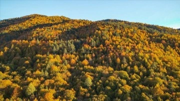 Sonbaharın güzelliklerini 450 metre yükseklikteki cam terastan izliyorlar