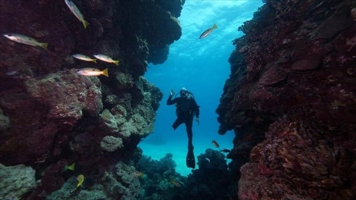 Su altı g&ouml;r&uuml;nt&uuml; y&ouml;netmeni Tahsin Ceylan bedensel engelli &Ouml;zg&uuml;r Ak&ccedil;ı'yla Kızıldeniz'e daldı