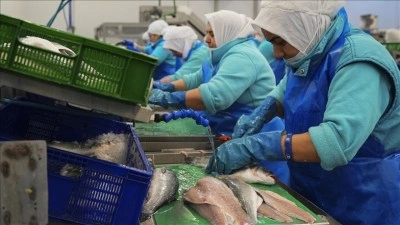 Su &uuml;r&uuml;nlerinde iki aylık ihracattaki y&uuml;ksek artış, yeni rekor beklentisini artırdı