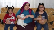 Sude ve Cemre'nin mutluluğu kedilerle katlandı