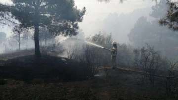 Sultangazi'de ormanlık alanda çıkan yangına müdahale ediliyor