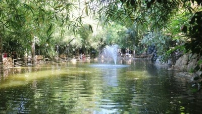Suriye'de hobi olarak başlayan proje Tropikal Orman Parkına d&ouml;n&uuml;şt&uuml;