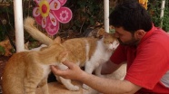 Suriye'de sahipsiz kedilerin babası oldu