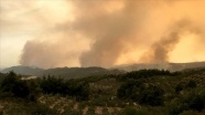Suriye'deki orman yangınları sürüyor