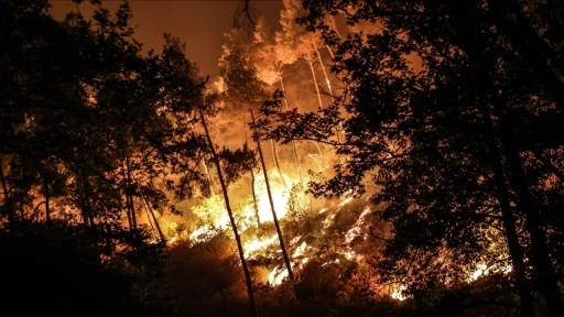 Suriye, Lazkiye kırsalındaki yangınlar için AB'den destek talep etti