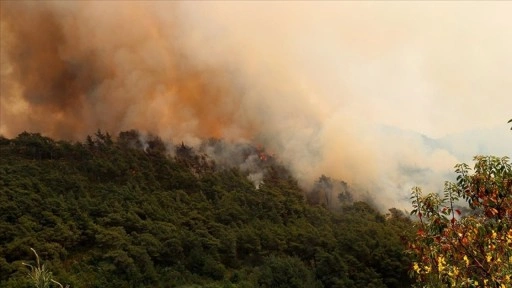 Suriye'nin Bayırbucak bölgesinde çıkan orman yangını sürüyor