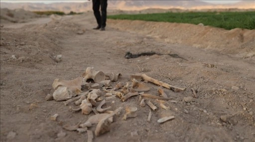 Suriye'nin Humus ilinde dört toplu mezar bulundu