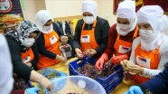 Suriyeli kadınlar İzmir&#039;de üzümü pekmeze çevirmeyi öğreniyor