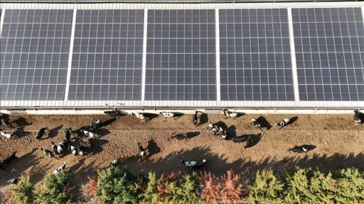 Süt işletmesi güneşten elde ettiği enerjiyle giderlerini azaltıyor