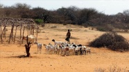 Süt keçileri Afrika&#039;da kalıcı geçim kaynağı oluyor