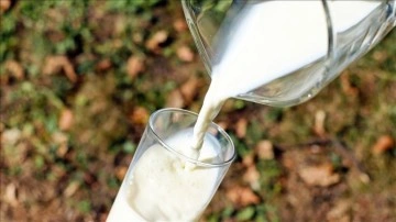 Süt üreticileri 2023'te koruyucu tedbirler alınmasını istiyor