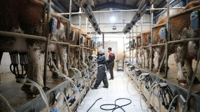 S&uuml;t &uuml;reticilerine 6 yılda 24,6 milyar lira destek verildi