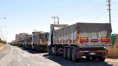 Suudi Arabistan'a taşımacılık yapacak şof&ouml;rlere vize kolaylığı devrede