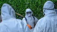 Suudi Arabistan&#39;da hacılar için Ebola önlemi