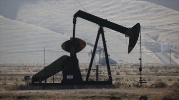 Suudi Arabistan, petrol üretimi kesintisini sürdürecek