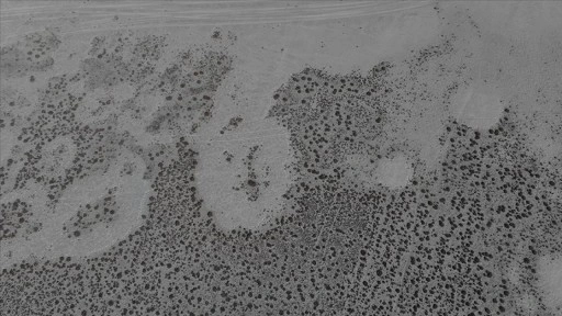 Tamamen kuruyan Seyfe Gölü Kuş Cenneti sessizliğe büründü