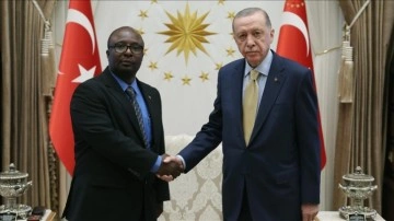 Tanzanya Büyükelçisi Bakari, Cumhurbaşkanı Erdoğan'a güven mektubu sundu