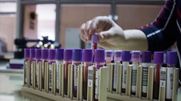 Tarama programları talasemiyle m&uuml;cadeleyi kolaylaştırdı