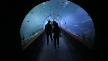Tarihi vadilerin arasındaki "Tünel Akvaryum" misafirlerini ağırlayacak